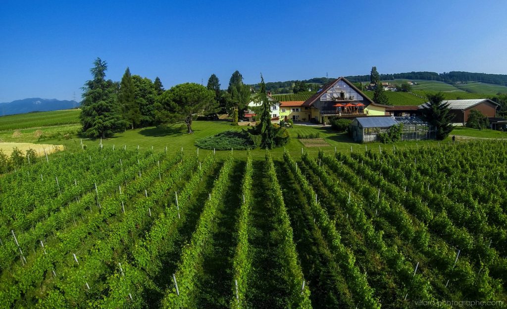 Domaine La Capitaine Reynald Parmelin Gland Switzerland Winery