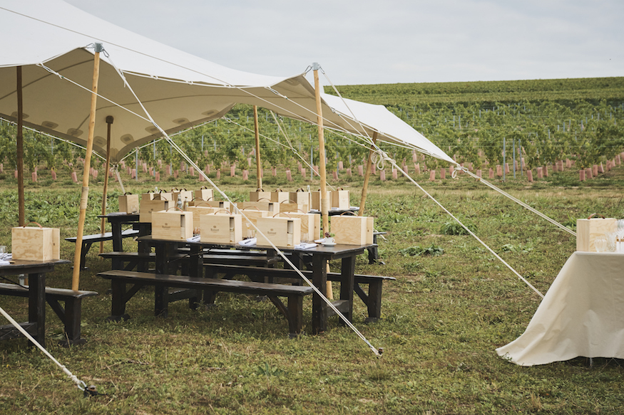 Ruinart Champagne Harvest Camp Reims Picnic Tent