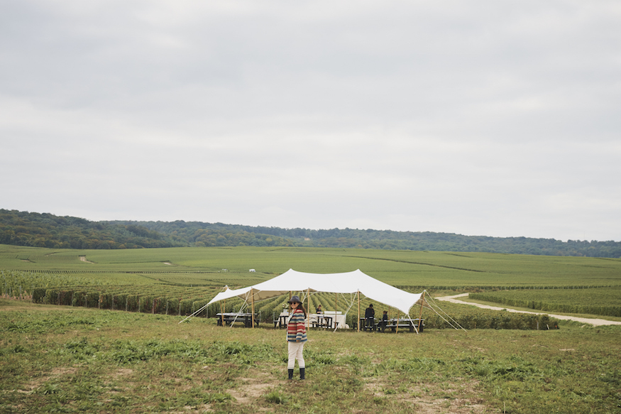 Ruinart Champagne Harvest Camp Vineyards