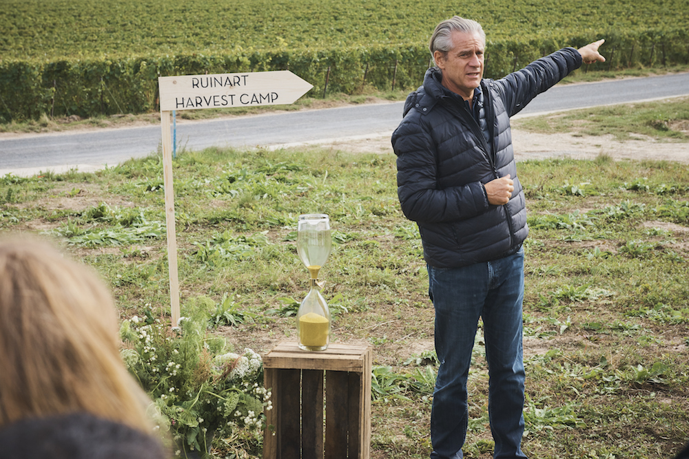 Ruinart Champagne Harvest Camp Reims Frederic Dufour