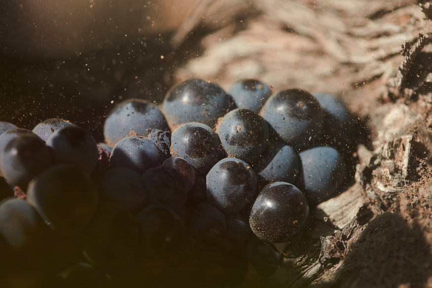 CHANDON GARDEN SPRITZ Grapes press