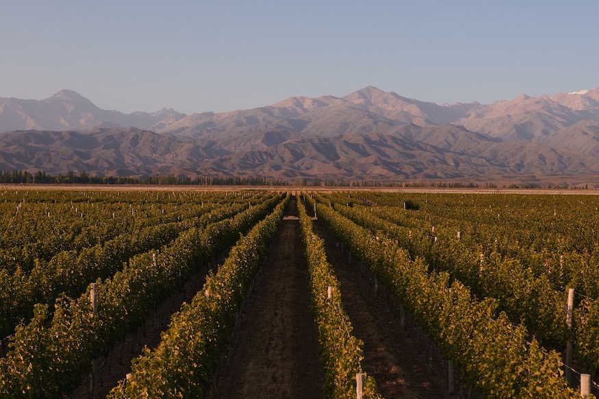 CHANDON GARDEN SPRITZ Mendoza vineyards Argentina