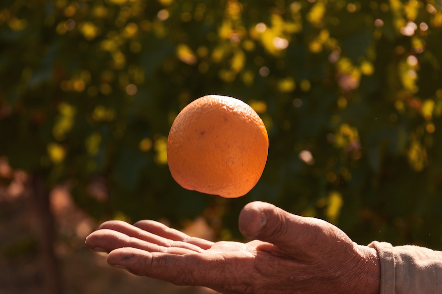 The Chandon Garden Spritz had everyone in the summer spirit at