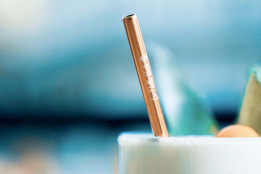 La Paille Verte Eco-Responsible Plastic-Free Stainless Steel Straws Smoothie